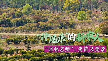 “種風(fēng)景”的新農(nóng)人 | “園林藝師” 賣苗又賣景，開啟園林綠化新篇章