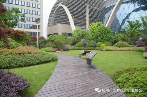 都市綠洲，云端花園——杭州國際博覽中心項目屋面園林綠化工程獲2016年度杭州市優(yōu)秀園林綠化工程綜合組金獎紀實